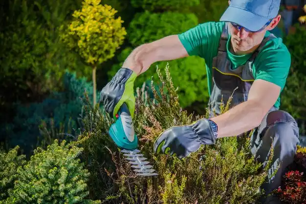landscaping services Euclid